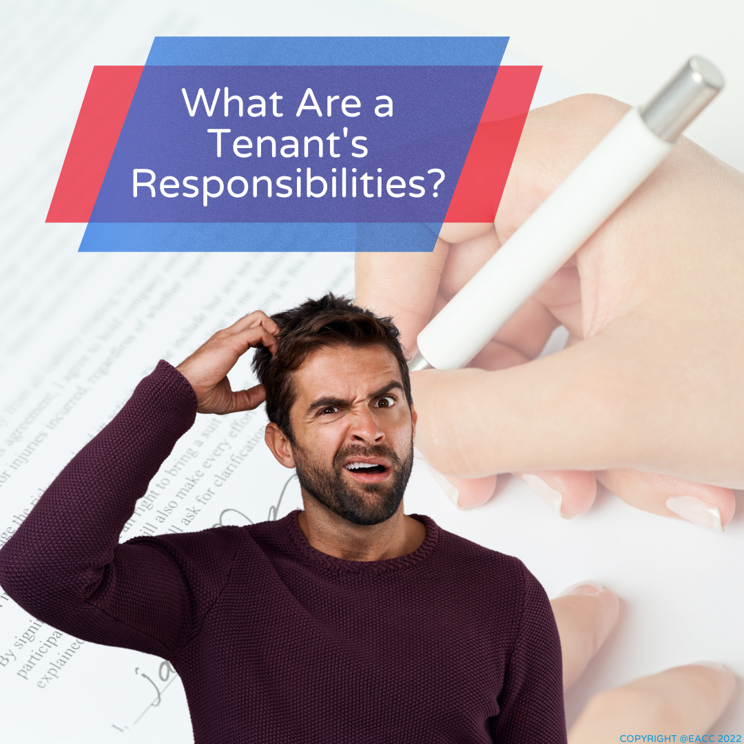 What Are a Tenant’s Responsibilities? Rochills Estate Agents