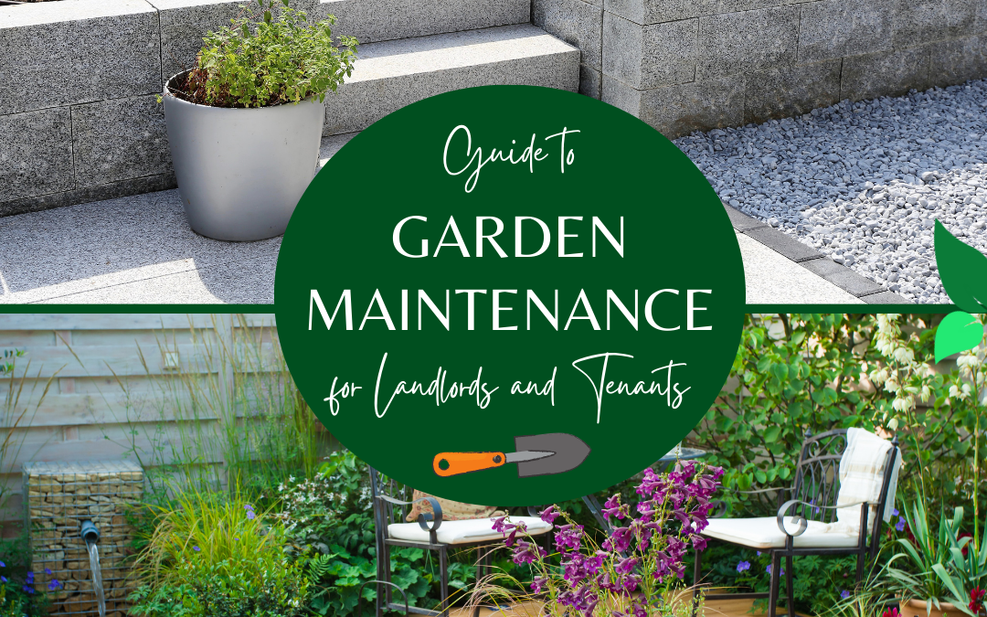 Guide to Garden Maintenance for Landlords and Tenants