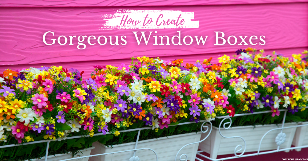 How to Create Gorgeous Window Boxes