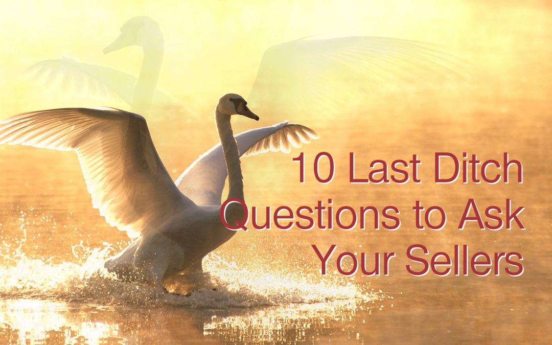 10 Last Ditch Questions To Ask The Sellers