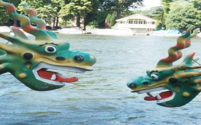 Event: Dragon Boat Race