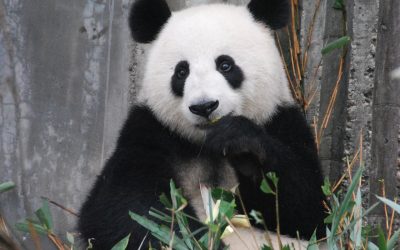 Reasons to be Feeling Good in Walton On Thames this Good Friday