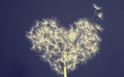 Time for your weekly dose of positive news in Walton On Thames