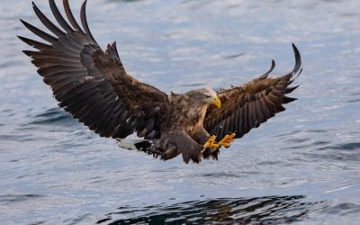 How to Find the Right Property Solicitor for You in Walton On Thames