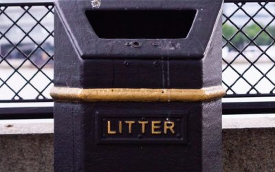 Join the Fight Against Litter in Walton On Thames