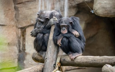 Are you bored in Walton On Thames? Check this out for next level boredom