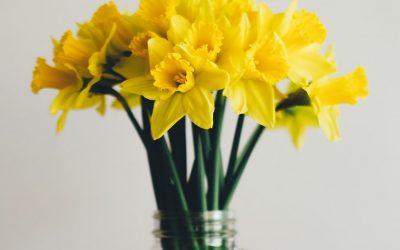 How to Get Top Price for Your Walton On Thames Home This Spring