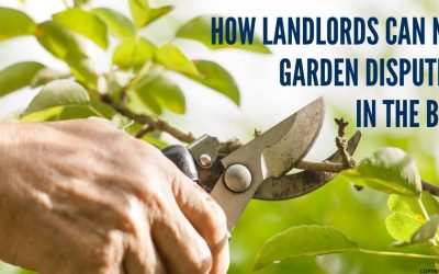 How Walton On Thames Landlords Can Nip Garden Disputes in the Bud