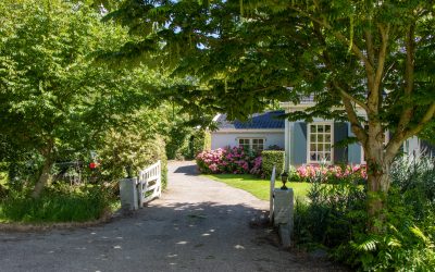 Why Do Some Walton On Thames Properties Hang Around on the Market?