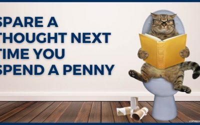 Spare a Thought Next Time You Spend a Penny