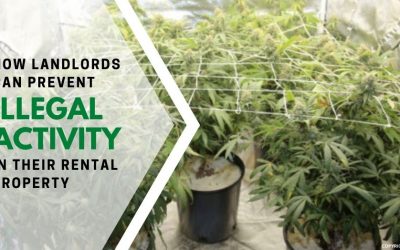 Stop Your Rental Property from Being Used for Illegal Activity