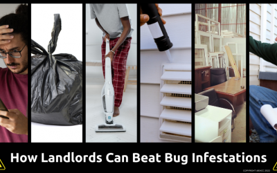 How Walton On Thames Landlords Can Beat Bug Infestations