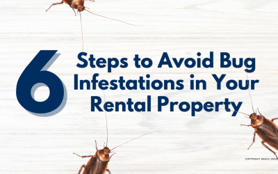 How to Avoid Bug Infestations in Your Rental Property