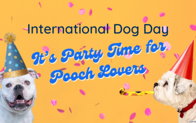 International Dog Day: Let’s Celebrate Our Canine Companions