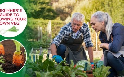 Grow Your Own Veg in Walton On Thames