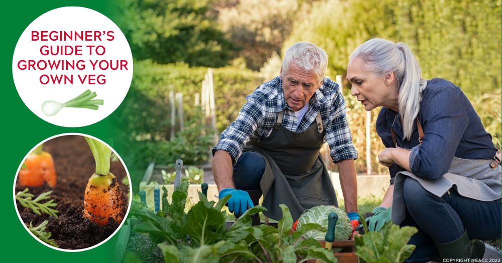 Grow Your Own Veg in Walton On Thames