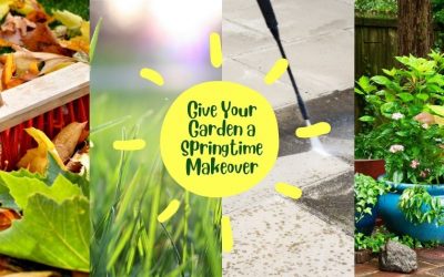 Give Your Walton on thames Garden a Springtime Makeover