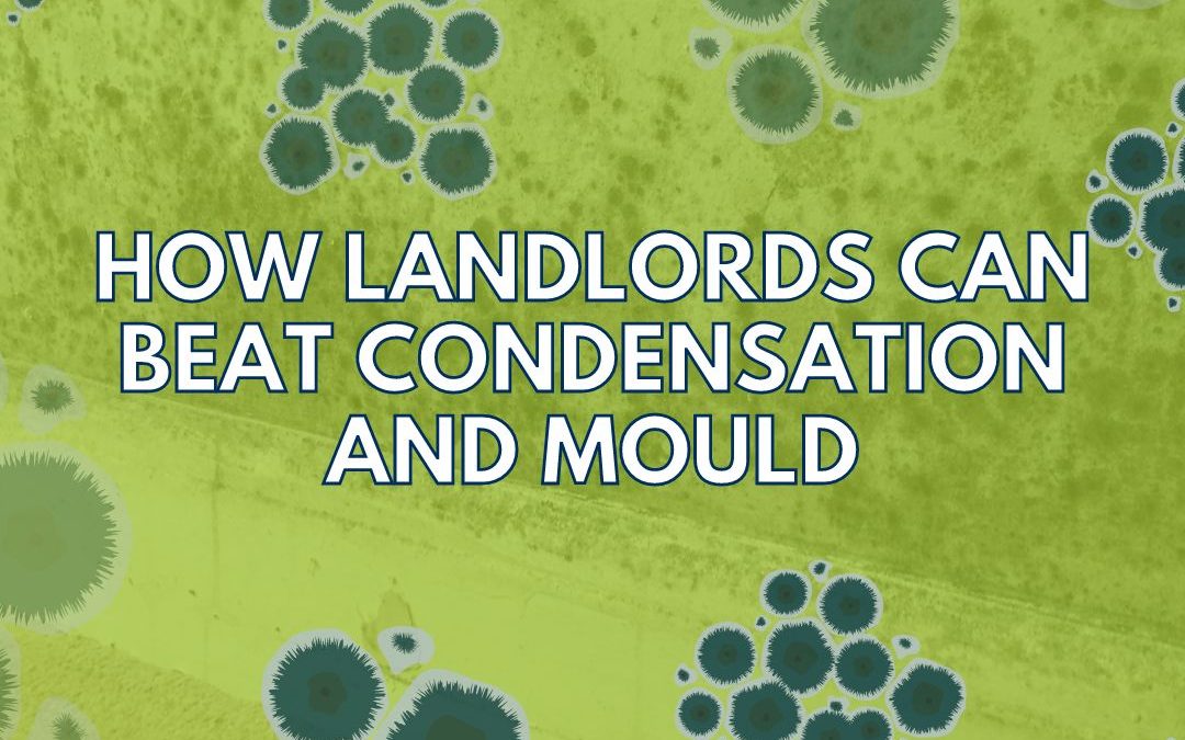 How to Prevent Condensation and Mould at a Rental Property