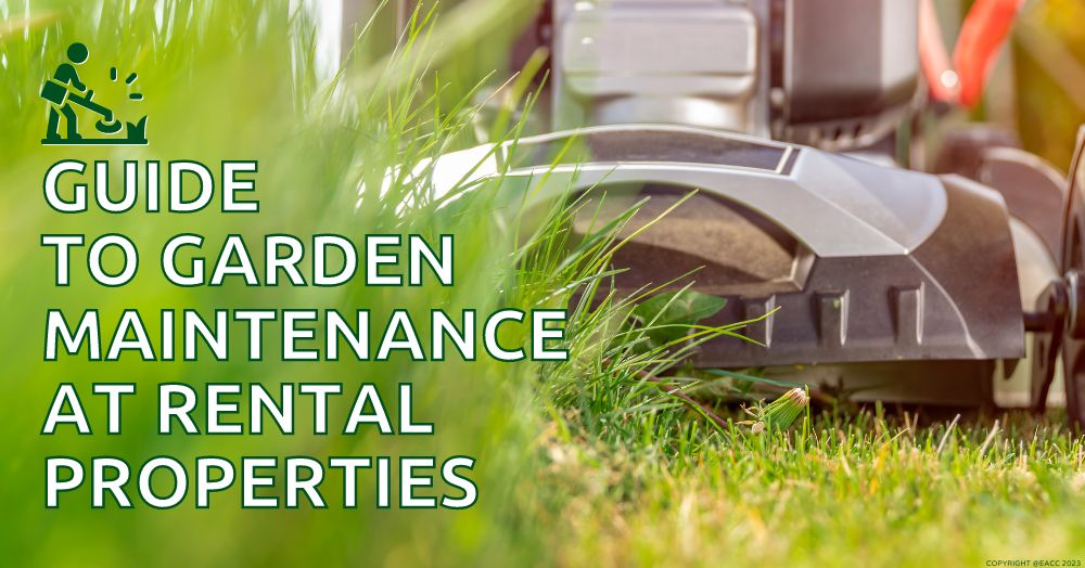 Garden Maintenance: Tenant and Landlord Responsibilities Explained