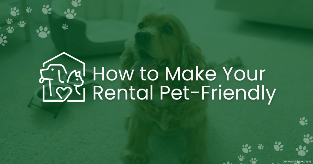 How to Make Your Walton On Thames Rental Pet-Friendly