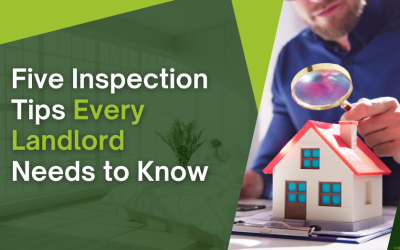 Five Inspection Tips Every Walton On Thames Landlord Needs to Know